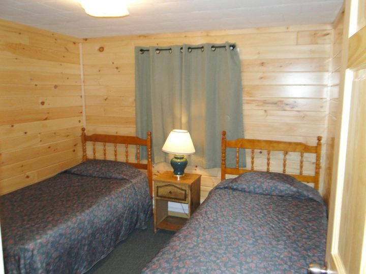 Cozy log cabin bedroom with two twin beds